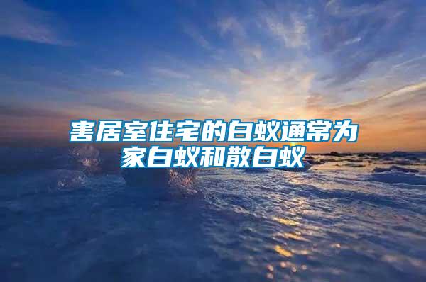 害居室住宅的白蟻通常為家白蟻和散白蟻