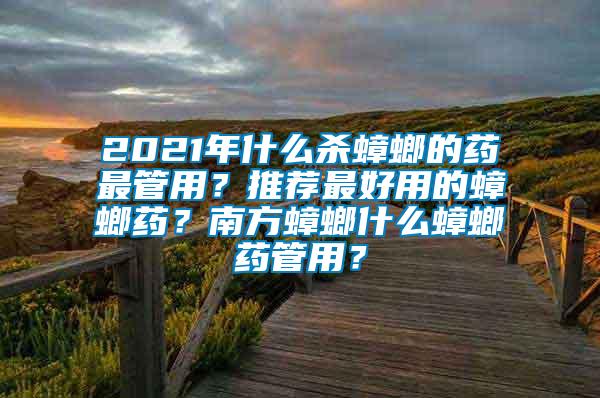 2021年什么殺蟑螂的藥最管用？推薦最好用的蟑螂藥？南方蟑螂什么蟑螂藥管用？