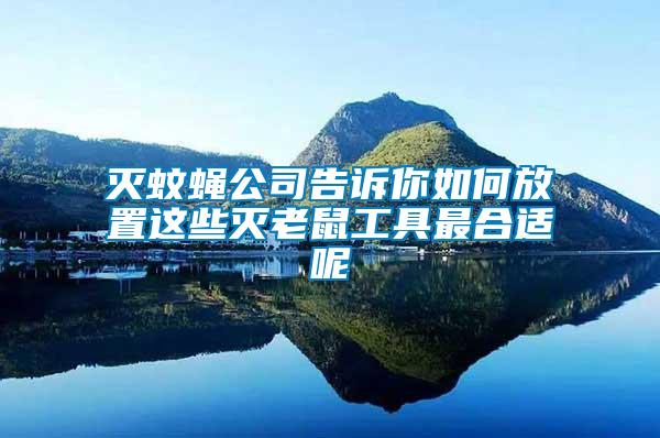 滅蚊蠅公司告訴你如何放置這些滅老鼠工具最合適呢