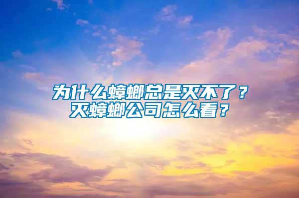 為什么蟑螂總是滅不了？滅蟑螂公司怎么看？