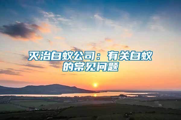 滅治白蟻公司：有關白蟻的常見問題