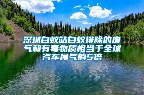 深圳白蟻站白蟻排除的廢氣和有毒物質相當于全球汽車尾氣的5倍