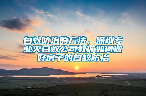 白蟻防治的方法，深圳專業滅白蟻公司教你如何做好房子的白蟻防治