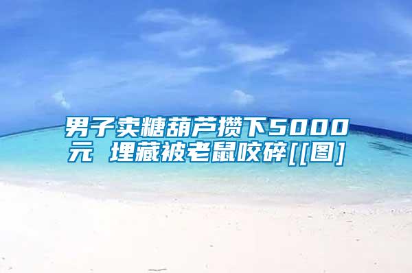 男子賣糖葫蘆攢下5000元 埋藏被老鼠咬碎[[圖]