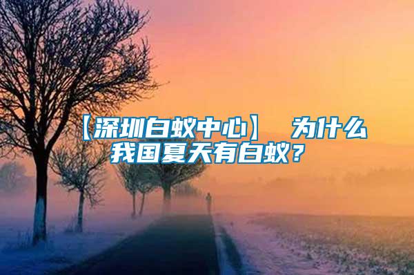 【深圳白蟻中心】 為什么我國夏天有白蟻？