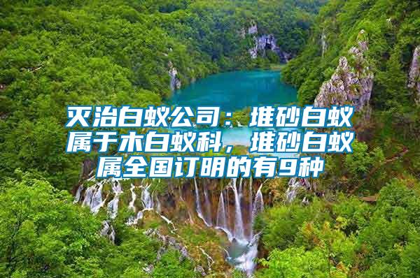 滅治白蟻公司：堆砂白蟻屬于木白蟻科，堆砂白蟻屬全國訂明的有9種