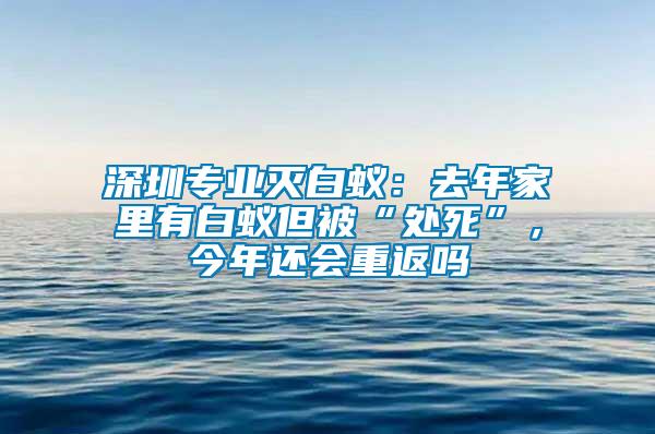 深圳專業滅白蟻：去年家里有白蟻但被“處死”，今年還會重返嗎