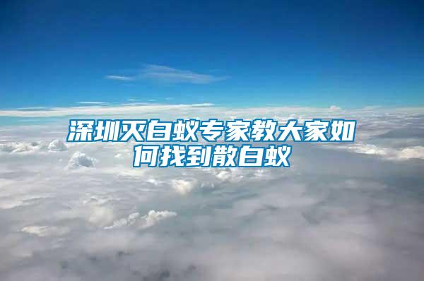 深圳滅白蟻專家教大家如何找到散白蟻