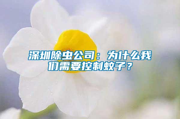 深圳除蟲公司：為什么我們需要控制蚊子？