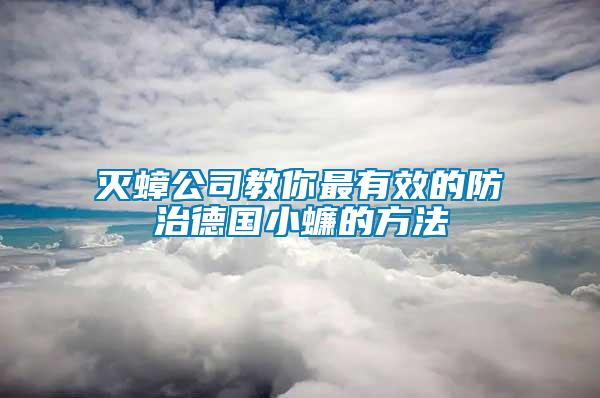 滅蟑公司教你最有效的防治德國小蠊的方法