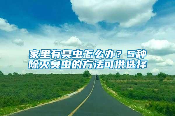 家里有臭蟲怎么辦？5種除滅臭蟲的方法可供選擇