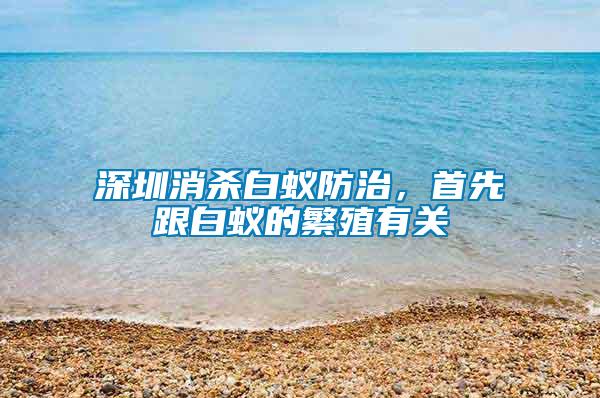 深圳消殺白蟻防治，首先跟白蟻的繁殖有關