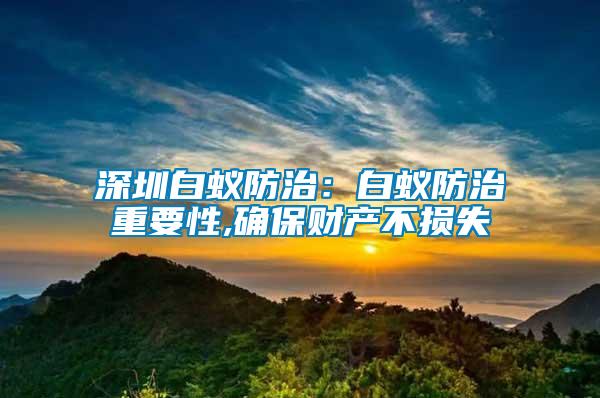 深圳白蟻防治：白蟻防治重要性,確保財產不損失