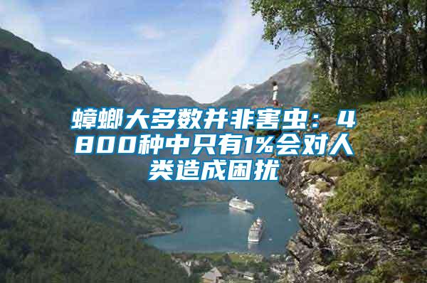 蟑螂大多數并非害蟲：4800種中只有1%會對人類造成困擾