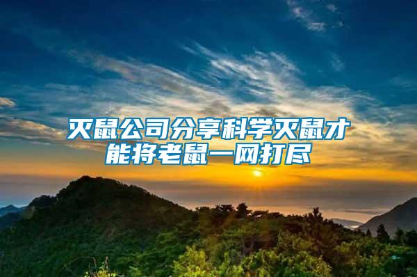 滅鼠公司分享科學滅鼠才能將老鼠一網打盡