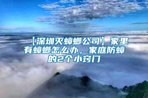 【深圳滅蟑螂公司】家里有蟑螂怎么辦，家庭防蟑的2個小竅門