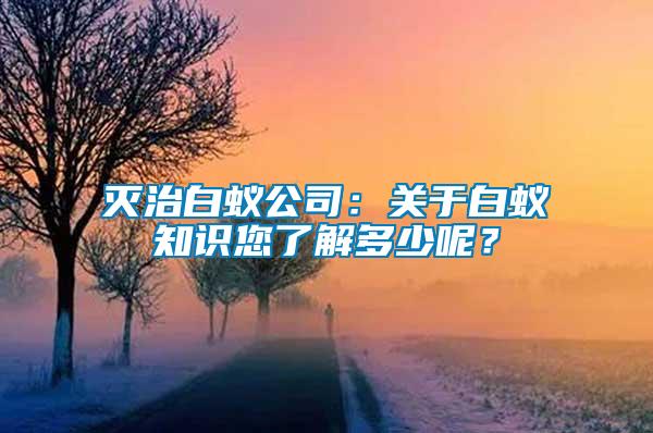 滅治白蟻公司：關于白蟻知識您了解多少呢？