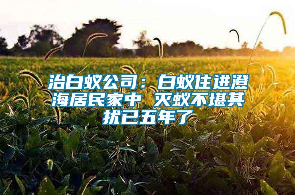 治白蟻公司：白蟻住進澄海居民家中 滅蟻不堪其擾已五年了