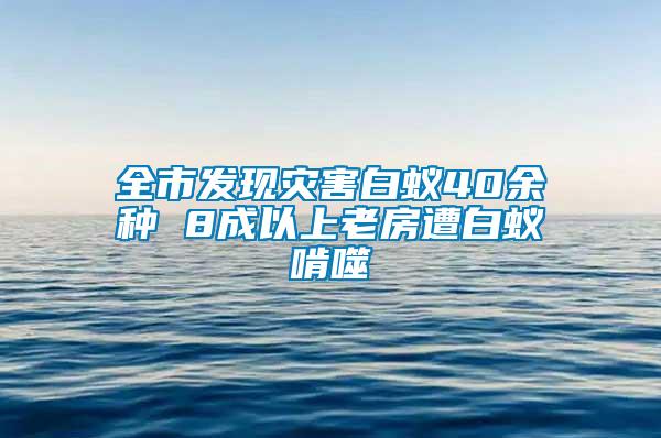 全市發現災害白蟻40余種 8成以上老房遭白蟻啃噬