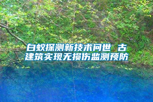 白蟻探測新技術問世 古建筑實現無損傷監測預防