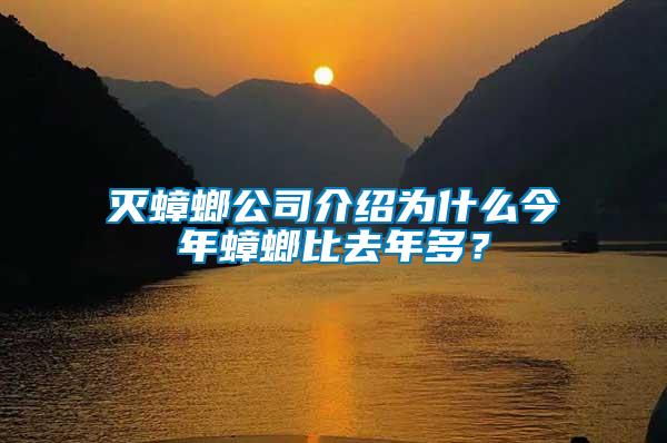 滅蟑螂公司介紹為什么今年蟑螂比去年多？