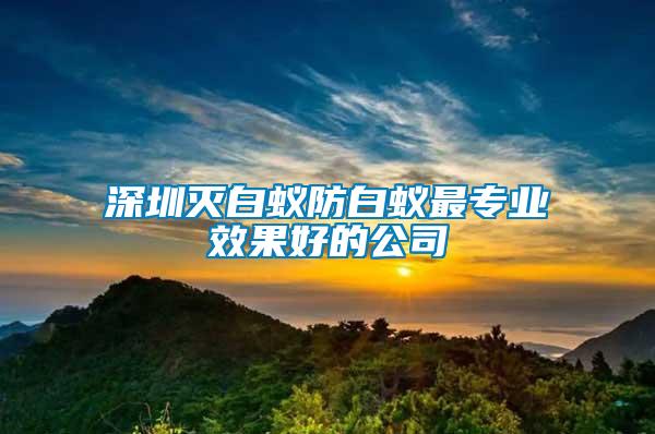 深圳滅白蟻防白蟻最專業效果好的公司