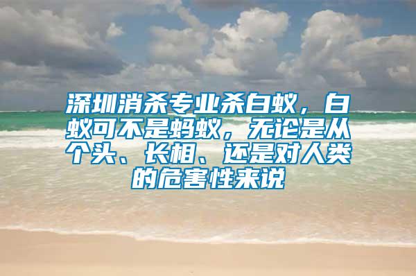 深圳消殺專業殺白蟻，白蟻可不是螞蟻，無論是從個頭、長相、還是對人類的危害性來說