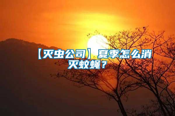 【滅蟲公司】夏季怎么消滅蚊蠅？