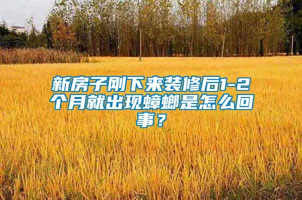 新房子剛下來裝修后1-2個月就出現蟑螂是怎么回事？