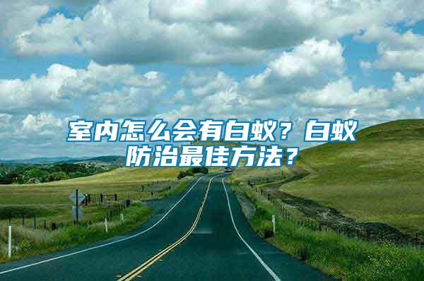 室內怎么會有白蟻？白蟻防治最佳方法？