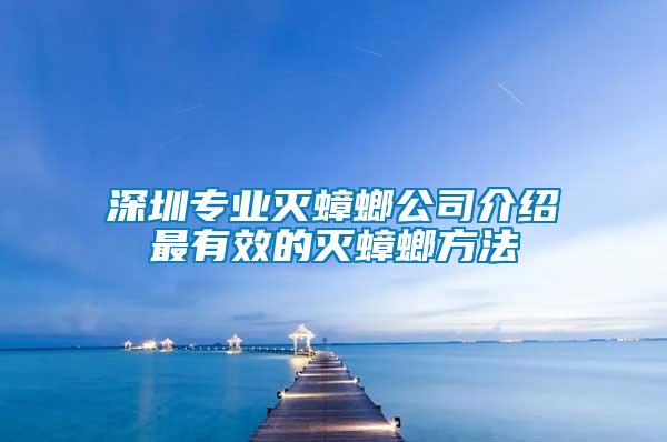 深圳專業滅蟑螂公司介紹最有效的滅蟑螂方法