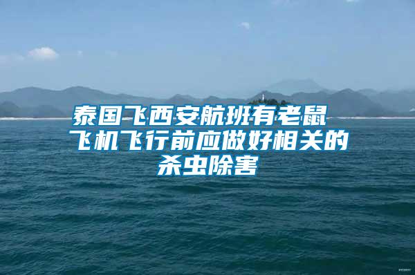 泰國飛西安航班有老鼠 飛機飛行前應做好相關的殺蟲除害