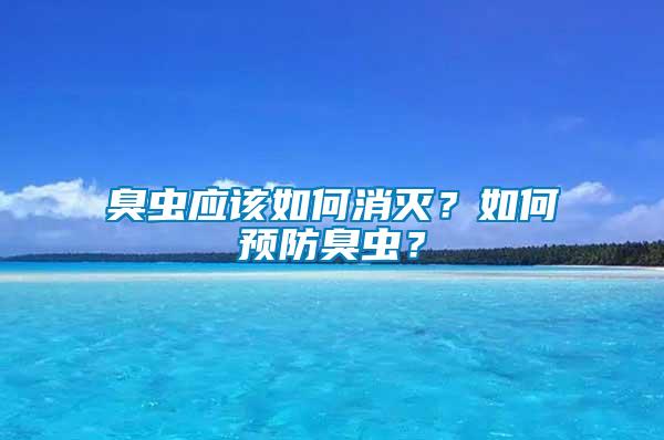 臭蟲應該如何消滅？如何預防臭蟲？