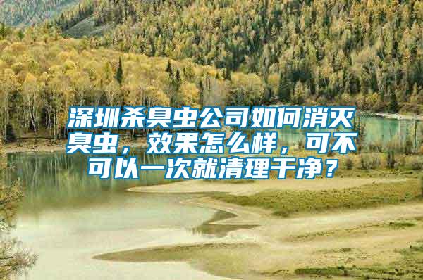 深圳殺臭蟲公司如何消滅臭蟲，效果怎么樣，可不可以一次就清理干凈？