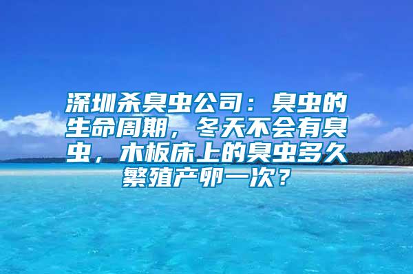 深圳殺臭蟲公司：臭蟲的生命周期，冬天不會有臭蟲，木板床上的臭蟲多久繁殖產卵一次？