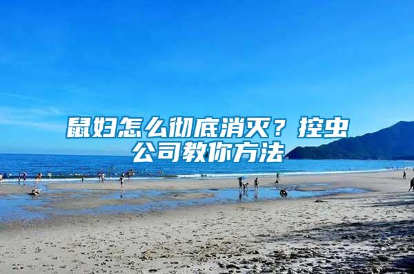 鼠婦怎么徹底消滅？控蟲公司教你方法