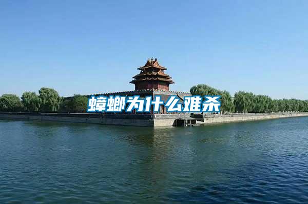 蟑螂為什么難殺