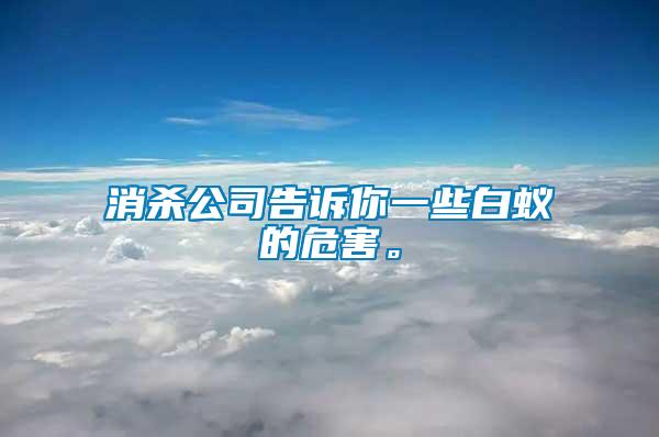 消殺公司告訴你一些白蟻的危害。