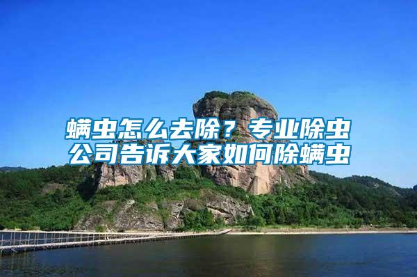 螨蟲怎么去除？專業除蟲公司告訴大家如何除螨蟲