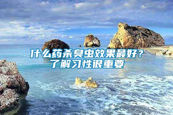 什么藥殺臭蟲效果最好？了解習性很重要