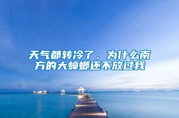 天氣都轉冷了，為什么南方的大蟑螂還不放過我