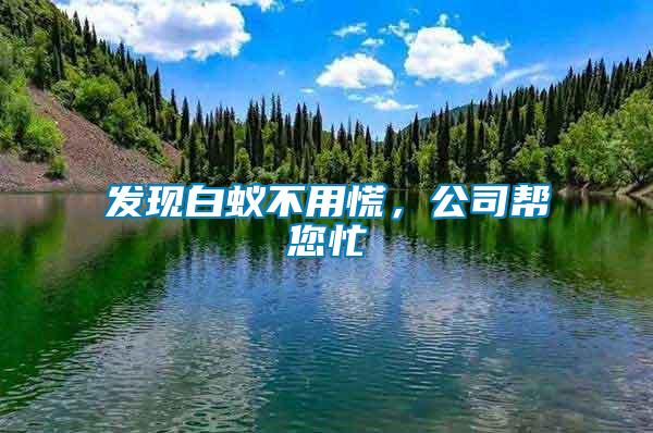 發現白蟻不用慌，公司幫您忙