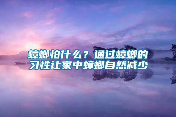 蟑螂怕什么？通過蟑螂的習性讓家中蟑螂自然減少