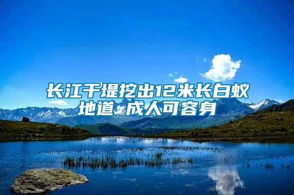 長江干堤挖出12米長白蟻地道 成人可容身