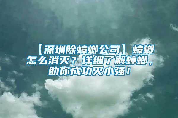 【深圳除蟑螂公司】蟑螂怎么消滅？詳細了解蟑螂，助你成功滅小強！