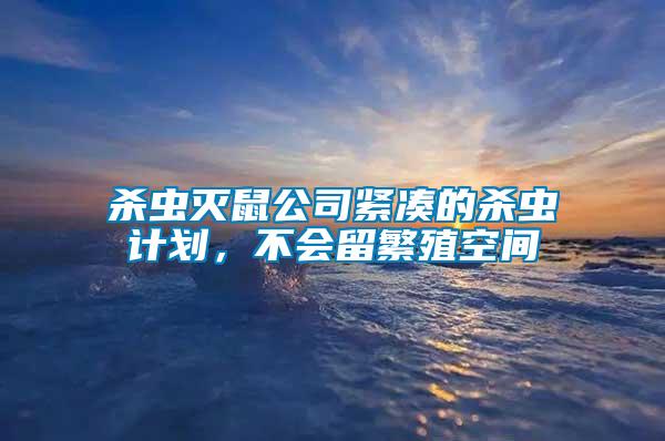 殺蟲滅鼠公司緊湊的殺蟲計劃，不會留繁殖空間