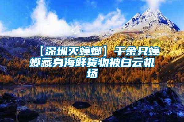 【深圳滅蟑螂】千余只蟑螂藏身海鮮貨物被白云機場