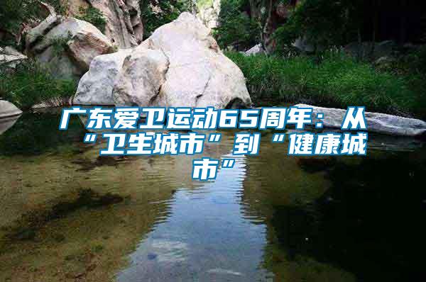 廣東愛衛運動65周年：從“衛生城市”到“健康城市”