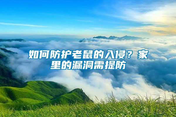 如何防護老鼠的入侵？家里的漏洞需提防