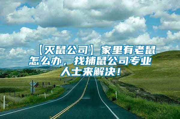 【滅鼠公司】家里有老鼠怎么辦，找捕鼠公司專業人士來解決！